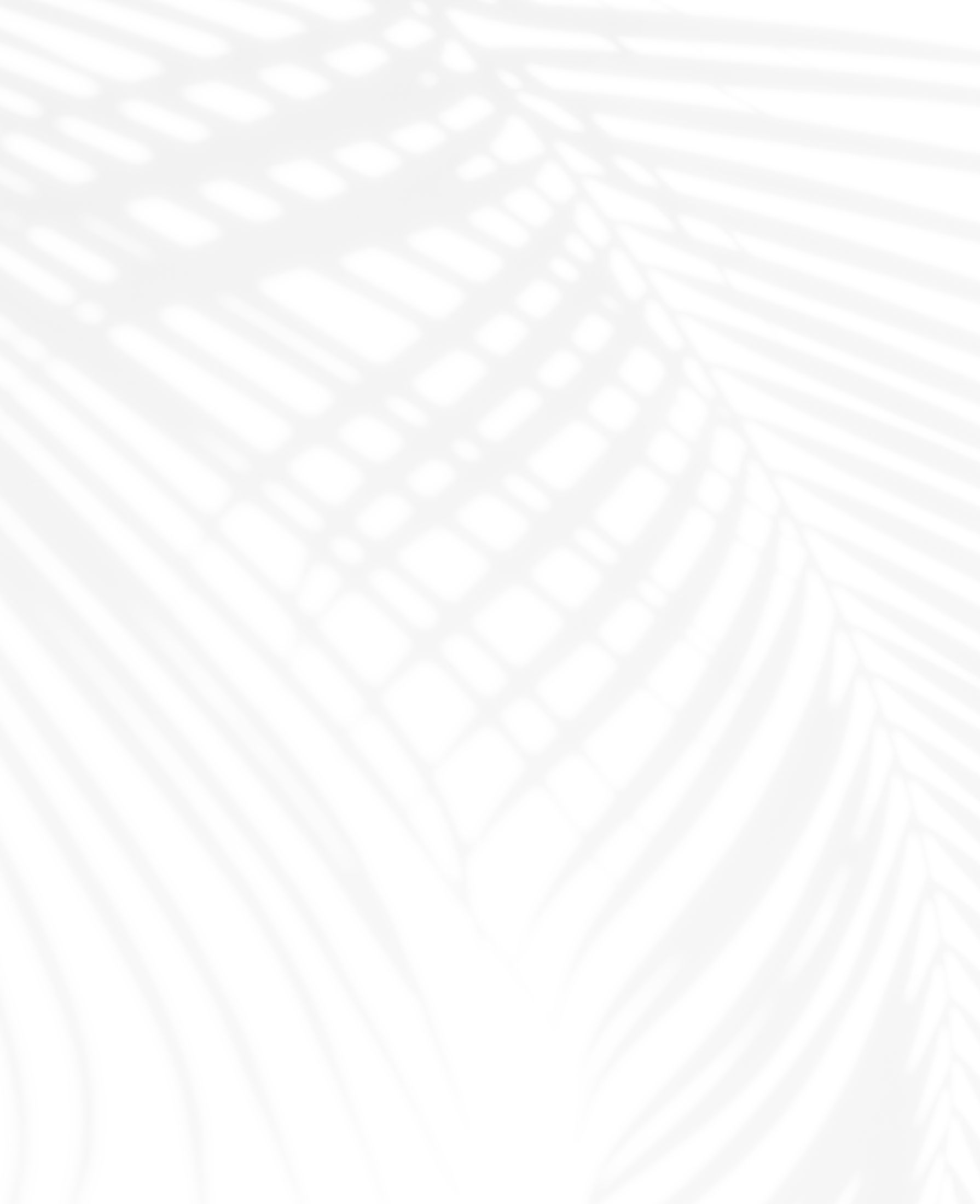 Abstract palm leaf shadow on white background